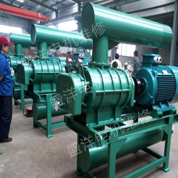 滁州专业风机维修厂家 